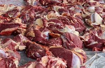 Глава Ахвахского района раздал более 150 кг мяса жертвенных животных семьям участников СВО