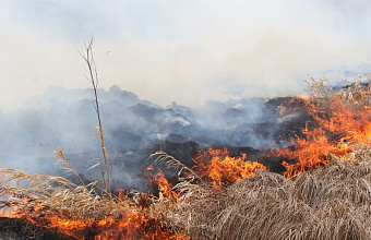 В отдельных районах Дагестана сохраняется чрезвычайная пожароопасность