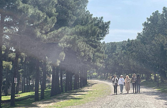 В Дербенте благоустроят природно-исторический парк «Сосновый бор»