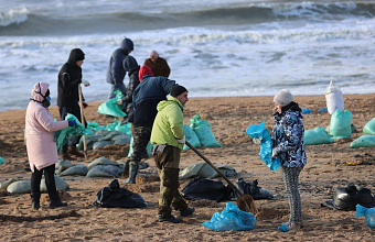 В ходе «Прямой линии» с Путиным подняли проблему экологии южных регионов страны