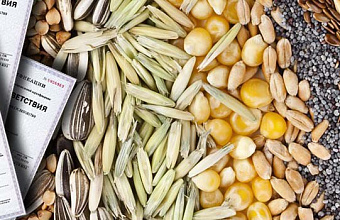 Управление Россельхознадзора по Дагестану прекратило действие 20 деклараций на зерно