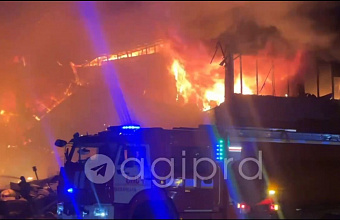 Заур Аскендеров поручил депутатам парламента Дагестана оказать поддержку пострадавшим при взрыве на АЗС