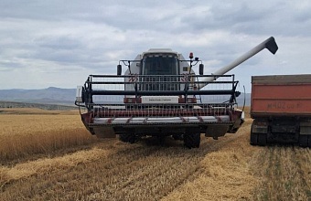 Хозяйства Карабудахкентского района активно занимаются уборкой озимых и зерновых культур
