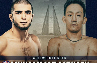 Мокаеву нашли замену на турнире Brave CF 13 декабря