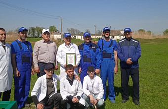 Научные разработки способствуют развитию овцеводства в Дагестане