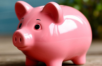 «Свинки», книги и сейфы: где жители СКФО хранят наличные?