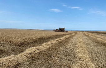 Хлеборобы Каякентского района завершают уборку зерновых