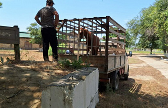 Сыну участника СВО подарили коня
