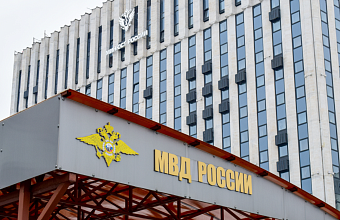 В МВД определили две схемы доступа мошенников к "Госуслугам" россиян