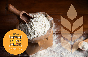 В Дагестане Россельхознадзор выявил более 400 нарушений при оформлении сопроводительных документов во ФГИС «Зерно»