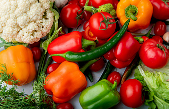 Дагестан вошел в число лидеров по производству грунтовых овощей – Минсельхоз России