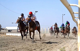 Скачки на призы муфтия Дагестана прошли в Махачкале
