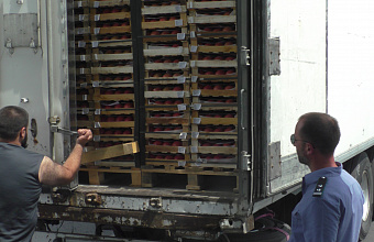 В Дагестане пресечен ввоз 180 тонн зараженных овощей и фруктов