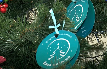 «Движение первых» Дагестана запускает прием заявок на участие в акции «Ёлка желаний»