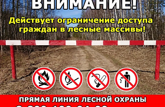 В Дагестане введены ограничения на въезд транспорта и пребывание в лесах