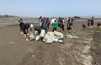 Порядка 200 человек приняли участие в масштабном субботнике в Самурском лесу