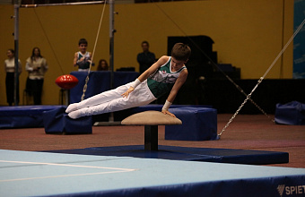 Юные гимнасты борются за награды Первенства Дагестана