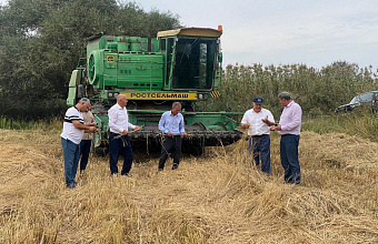 Дагестанские рисоводы приступают к массовой уборке риса