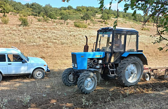В Табасаранском лесничестве созданы 27 км минерализованных полос для предотвращения пожаров