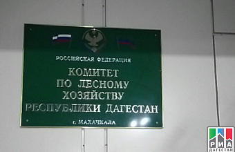 Улакай Улакаев освобожден от должности зампредседателя Комитета по лесному хозяйству РД