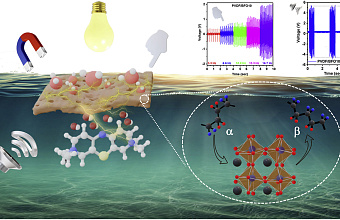 Ученые ДГУ разработали материал, способный разрушать органические загрязнители и собирать энергию из окружающей среды