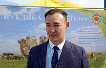 Тимур Гаваев поблагодарил Дагестан за организацию XXIV Российской выставки племенных овец и коз