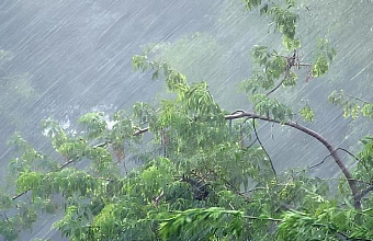 Сильные дожди с грозами ожидаются в районах Дагестана