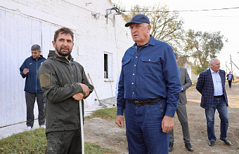 Экспериментальное поголовье коров канадской селекции разводят в Тарумовском районе