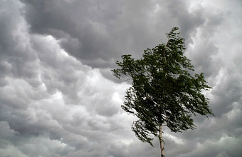 МЧС предупреждение о сильном ветре в Дагестане