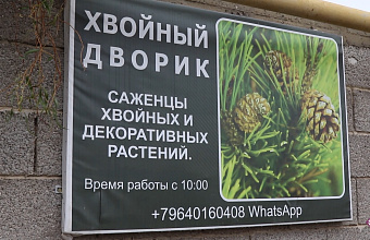 Социальный контракт помог Написат Магомедовой из Дагестана заняться выращиванием декоративных растений