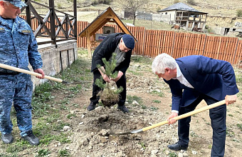 В Гунибском районе высадили деревья в память о героях Великой Отечественной войны