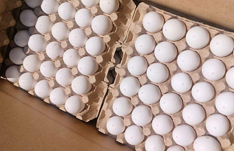 Россельхознадзор Дагестана проверил более 300 тыс. пищевых яиц из Турции
