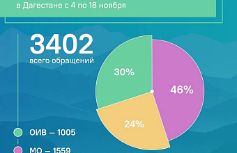 В ноябре дагестанцев чаще всего беспокоили вопросы энергетики, ЖКХ и дорог – ЦУР РД