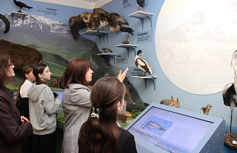 В Национальном музее имени А. Тахо-Годи представлена новая экспозиция с использованием 3D анимации