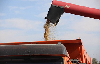 На 9 тысяч тонн планируют нарастить объемы урожая риса в Дагестане