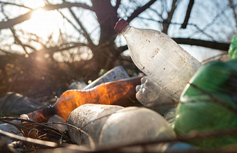 Дагестан оказался в лидерах по минимальной доле отходов на одного жителя