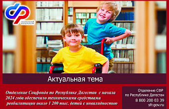 Отделение СФР по Дагестану с начала 2024 года обеспечило 1 151 ребенка с инвалидностью ТСР