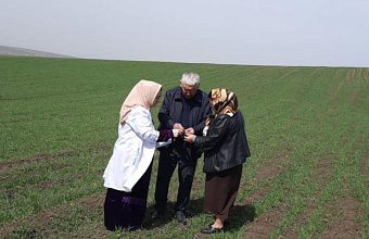 Дагестан в 2025 году может рассчитывать на хороший урожай зерновых – Россельхозцентр