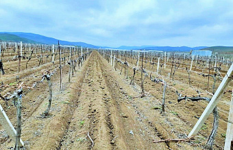 В Каякентском районе проходят весенние полевые работы