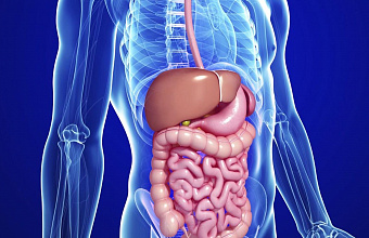 Более 243 тыс. дагестанцев страдают заболеваниями ЖКТ