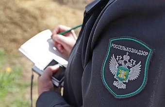 Россельхознадзор охватил мониторингом около 1,9 млн гектаров земель в Дагестане