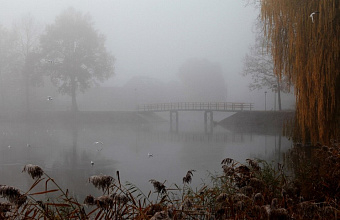 Порывы ветра до 20 м/с ожидаются в Дагестане, возможны проблемы на дорогах и с коммуникациями