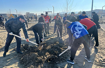 Единороссы приняли участие в посадке около 300 деревьев в парке «Олимпийский»