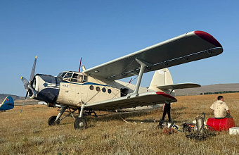 Для борьбы с саранчой в Дагестане задействовали авиацию