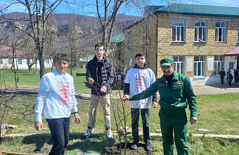 Ученики Хивской школы и активисты «Движения первых» помогли в посадке саженцев лиственных деревьев