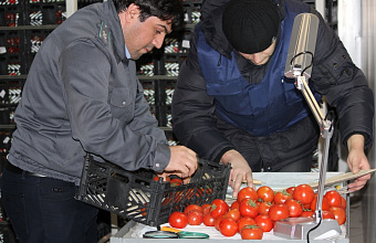 В Дагестане выявлены карантинные вредители при импорте плодовоовощной продукции