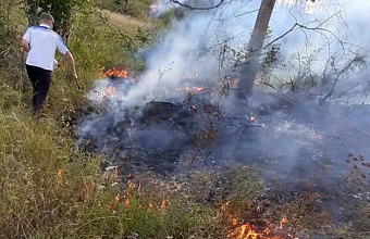 Вагаб Абдулхамидов: «Благодаря проводимым профилактическим мероприятиям в Дагестане удается избегать лесных пожаров»