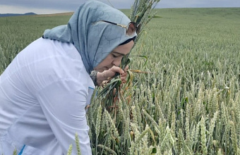 Россельхозцентр Дагестана охватил цифровым мониторингом более 1 млн га сельхозземель