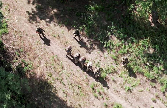 ВС РФ с 6 августа взяли в плен около 500 военных ВСУ в Курской области